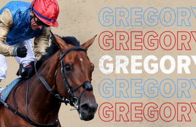Expert analysis and trainer quotes as St Leger favourite Gregory goes on trial in the Great Voltigeur Stakes - Vimarsana News