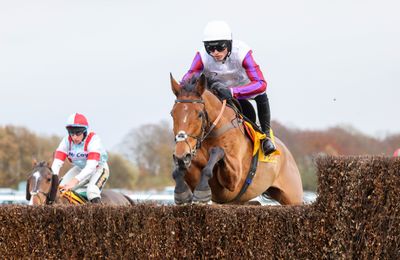 Bravemansgame features among six Punchestown Gold Cup entries despite ongoing court order issue - Vimarsana News