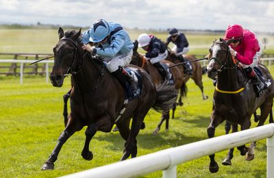 Aidan O'Brien star Luxembourg beaten on comeback as Visualisation dominates - Vimarsana News