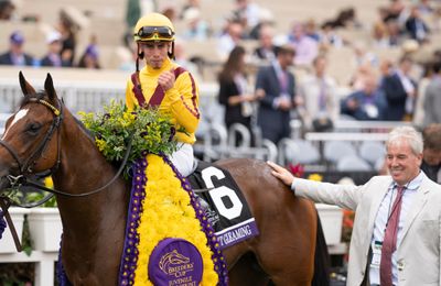 Siblings to Group winners and Classic performers among Tattersalls Ireland Breeze-Up Sale catalogue - Vimarsana News