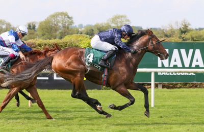 Irish Derby fourth Peking Opera among black type winners in the Tattersalls August Sale catalogue - Vimarsana News