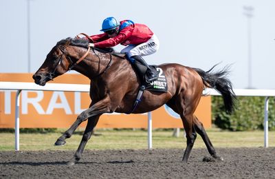 Arc and Champion Stakes under consideration for Bay Bridge after 'very impressive' September Stakes win - Vimarsana News