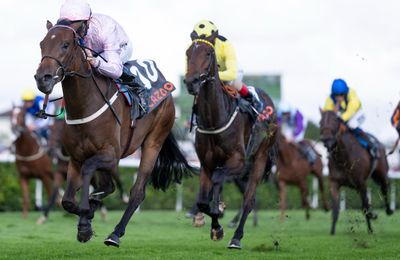 Polly Pott camp on jockey hunt for 1,000 Guineas outsider despite hailing Oisin Murphy help - Vimarsana News