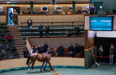 Well-bred daughter of Night Of Thunder leads the way at €140,000 as Orby Sale concludes - Vimarsana News