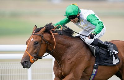 Superlative runner-up Haatem boosts City Of Troy form with commanding Vintage Stakes victory - Vimarsana News