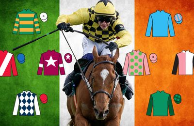 Confirmed runners and riders for day two of the Dublin Racing Festival at Leopardstown - plus a big-race tip and free bet - Vimarsana News