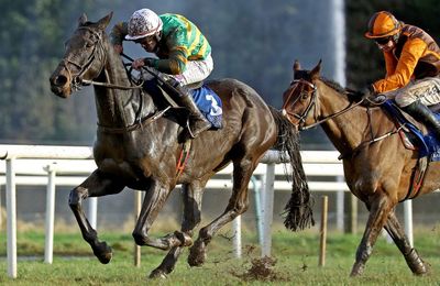 'Possibly the most difficult horse to assess since State Man' - Willie Mullins-trained Sa Majeste leaves handicappers perplexed - Vimarsana News