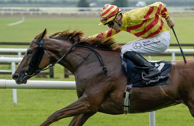 'She had been running well all season' - consistency rewarded as Lumiere Rock lands Blandford Stakes - Vimarsana News