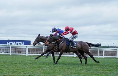 'One of the best I've seen him do' - Fergal O'Brien and Crambo counting down the days to Cheltenham after sparkling workout - Vimarsana News