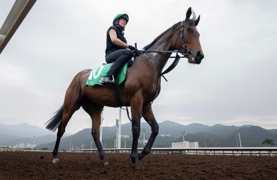 Ryan Moore down to lowest riding weight in last year for Warm Heart before star mare gets date with Justify - Vimarsana News