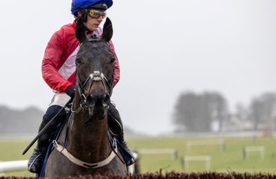 Allaho's brother Attaho ready to make his point on Sunday - Vimarsana News