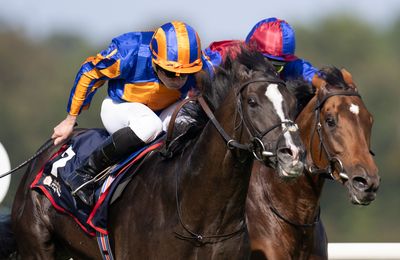 Dual Derby hero Auguste Rodin back to his best with game Irish Champion win - Vimarsana News