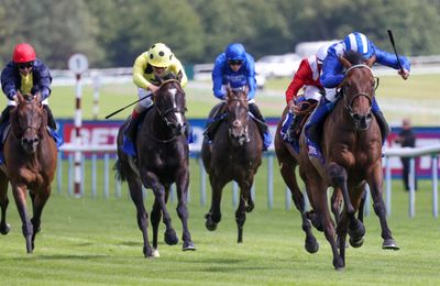 Anmaat out of Prince of Wales's contention as scratchings made for Royal Ascot Group 1s - Vimarsana News