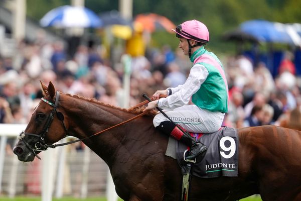 Item set for mile-and-a-half test - but Juddmonte may wait until next season after Irish Champion Stakes disappointment