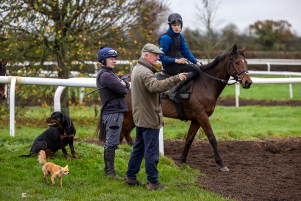 'Willie as ever not resting on any laurels. A gallop that won the Gold Cup, Grand National and more? Not perfect. Change it, improve it'