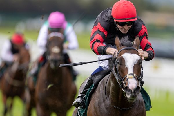 'We've had a big opinion of him all along' - Folsom Blues produces stunning National Stakes victory to lead home one-two for Joseph O'Brien