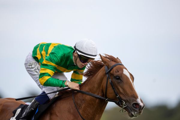 Joseph O'Brien finalises star-studded jockey team for Melbourne Cup – with top rider booked for JP McManus contender