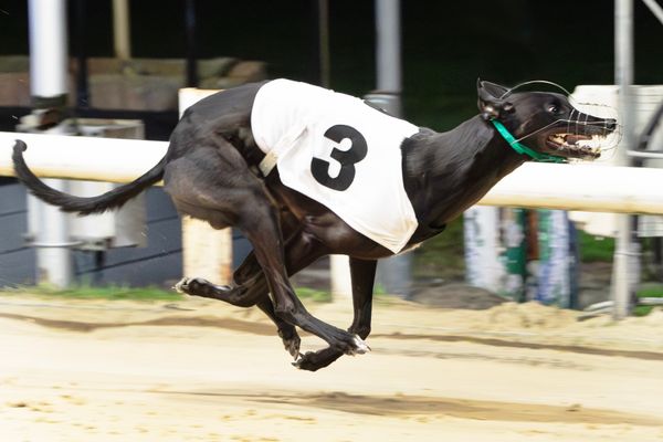 Heiress odds-on against Dane