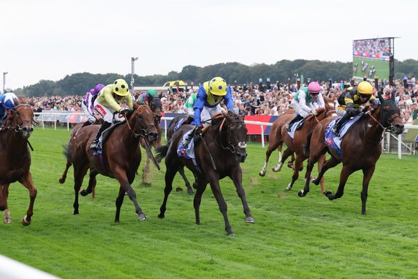 Dante Meeting Kicks Off at York: Four Horses to Watch on Day One