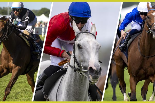 York Ebor festival 2026: how the biggest races are shaping up - including Ombudsman v Constitution River