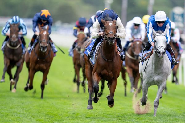 Will the Carnarvon Stakes again prove a key Commonwealth Cup trial? Keith Melrose has spotted a big discrepancy in the ante-post odds? — GLOBAL — ERYU PROJECT