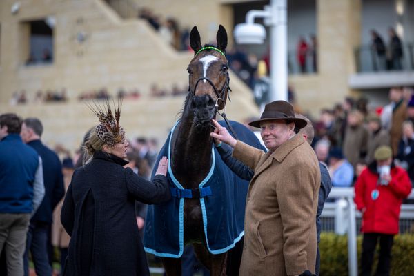 'It would be my dearest wish' - Nicky Henderson wants nothing more than a Cheltenham Festival win for Jonbon