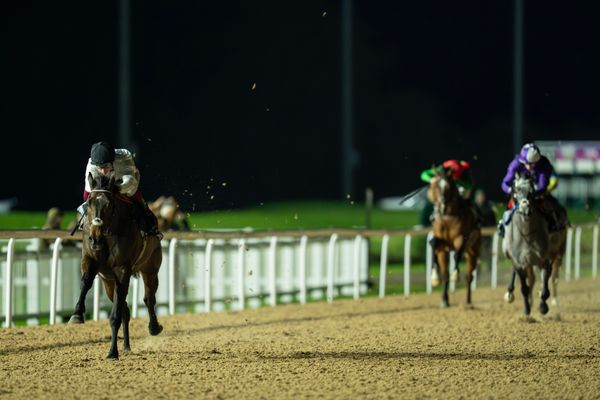 Constitution Hill entered for second Flat start in novice race at Kempton on Wednesday night