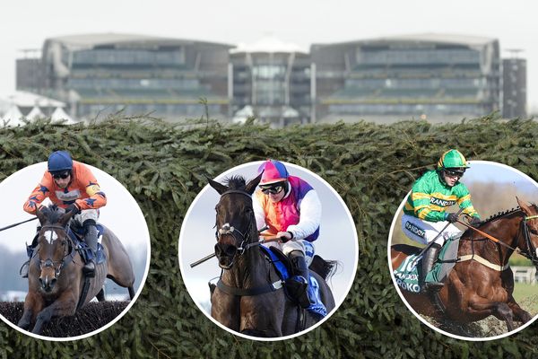 They were all in action at the Cheltenham Festival - so who are Britain's best Grand National hopes?