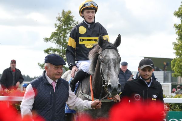'She's wintered well and won't mind the trip judging by her homework' - has Billy Lee picked the right one in Naas feature?