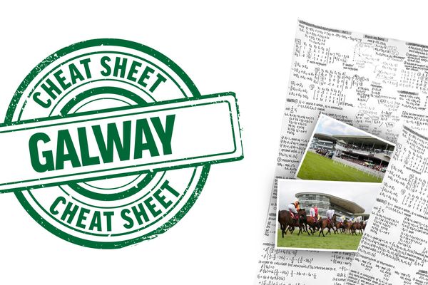 A son of Vroum Vroum Mag for JP McManus - plus a big handicap that often throws up a shock