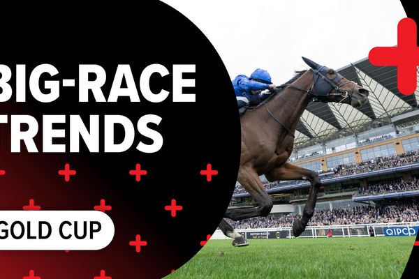 Big-race trends: key stats to help you find the winner of the Gold Cup