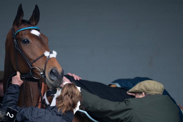 Clongiffen flying high as Act Of Innocence bids for Cheltenham Festival glory