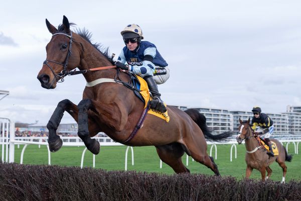 'He's going to leave an enormous hole' - Alan King pays tribute as brilliant chaser Edwardstone is retired