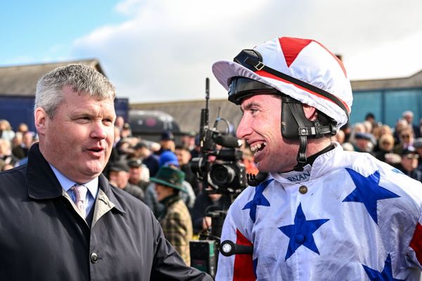 'I've actually entered him' - Samui continues Gordon Elliott's autumn surge, and trainer has a surprise new option for his winner