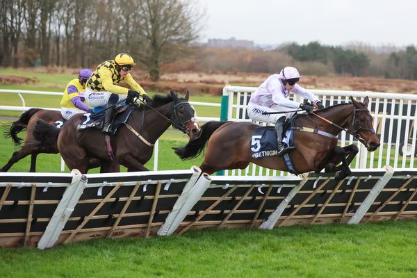 Grey Dawning owner's construction firm steps in to sponsor Fighting Fifth Hurdle at Newcastle