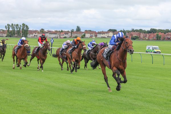 Jubilee Stakes: Almeraq wins thriller at 25-1 after photo finish with Satono Reve and Joliestar