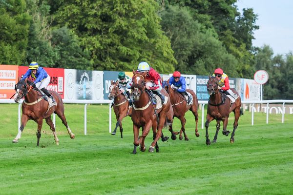 'We've always liked her' - Satyress registers four-timer as Harriet Bethell's season continues to improve