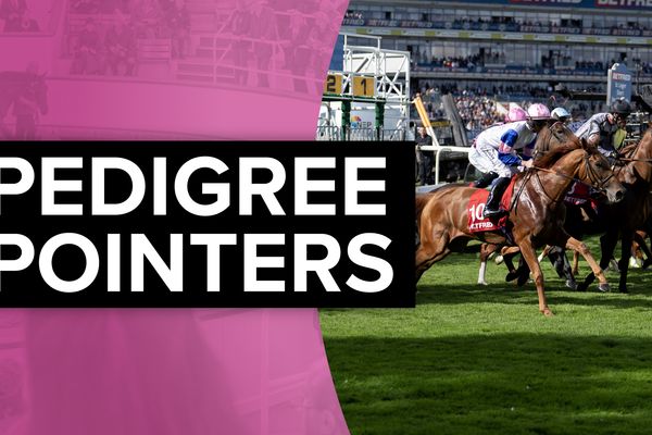 480,000gns sibling to Middle Park stars Perfect Power and Wise Approach set for Dundalk debut