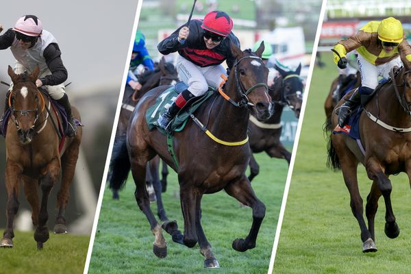 Which of these red-hot favourites should you back or avoid in the Grade 1 races at the Punchestown festival?