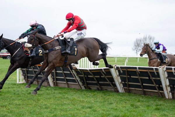 'This has been her target for a while' - who is hoping a long-range plan pays off in £65,000 race at Newbury?