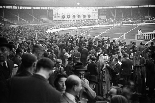 Greyhound Racing Centenary: Phil Donaldson Reflects on 100 Years of Racing Heritage
