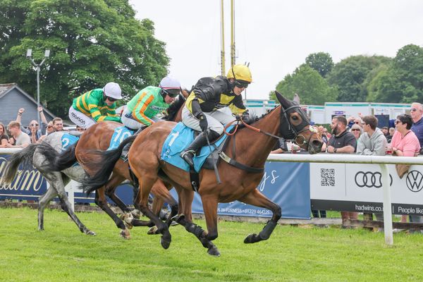 'She's as hard as nails' - Jimmy Moffatt off to a flyer at his local stomping ground after My Chiquita strikes
