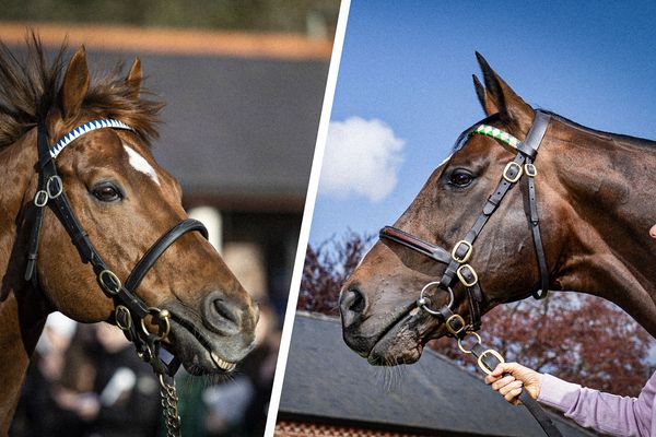 Odds in Night Of Thunder’s favour as sires’ championship heads to the wire
