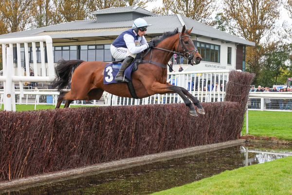 'Really high class' Kabral Du Mathan shortens for Arkle after flawless chasing debut at Perth