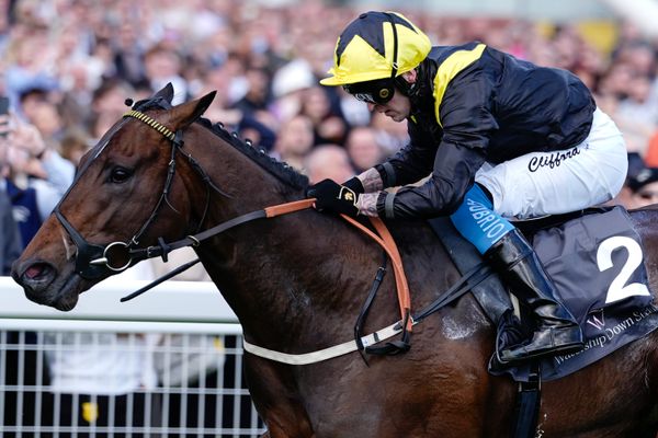 'I'm delighted to get the opportunity' - jockey set for first Classic spin after being called up to take on Gstaad in Irish 2,000 Guineas