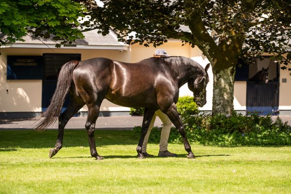 Why the best may be yet to come for the late, lamented supersire Wootton Bassett