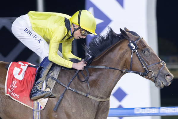 Torrential rain and tornado could hit Dubai - but Simon and Ed Crisford won't mind that for World Cup second favourite