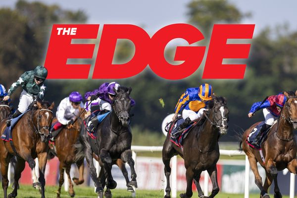 racing insight for elite jumps training success