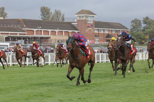 'He really comes to himself at this time of year' - low draw proves best as Eye Of Dubai bounces back in Ayr Bronze Cup