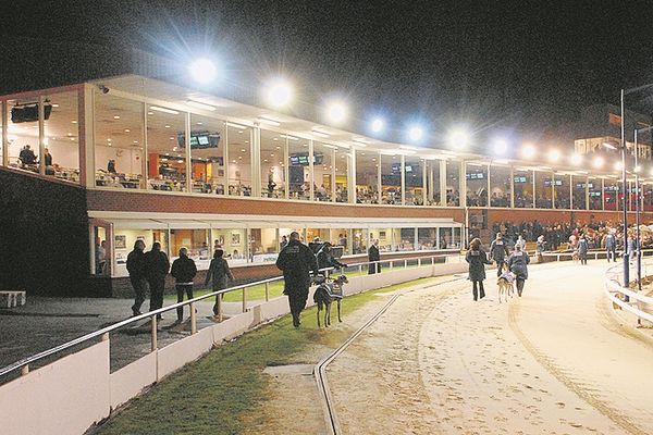 Trainers seek GBGB hardship funding following SIS axe blow
